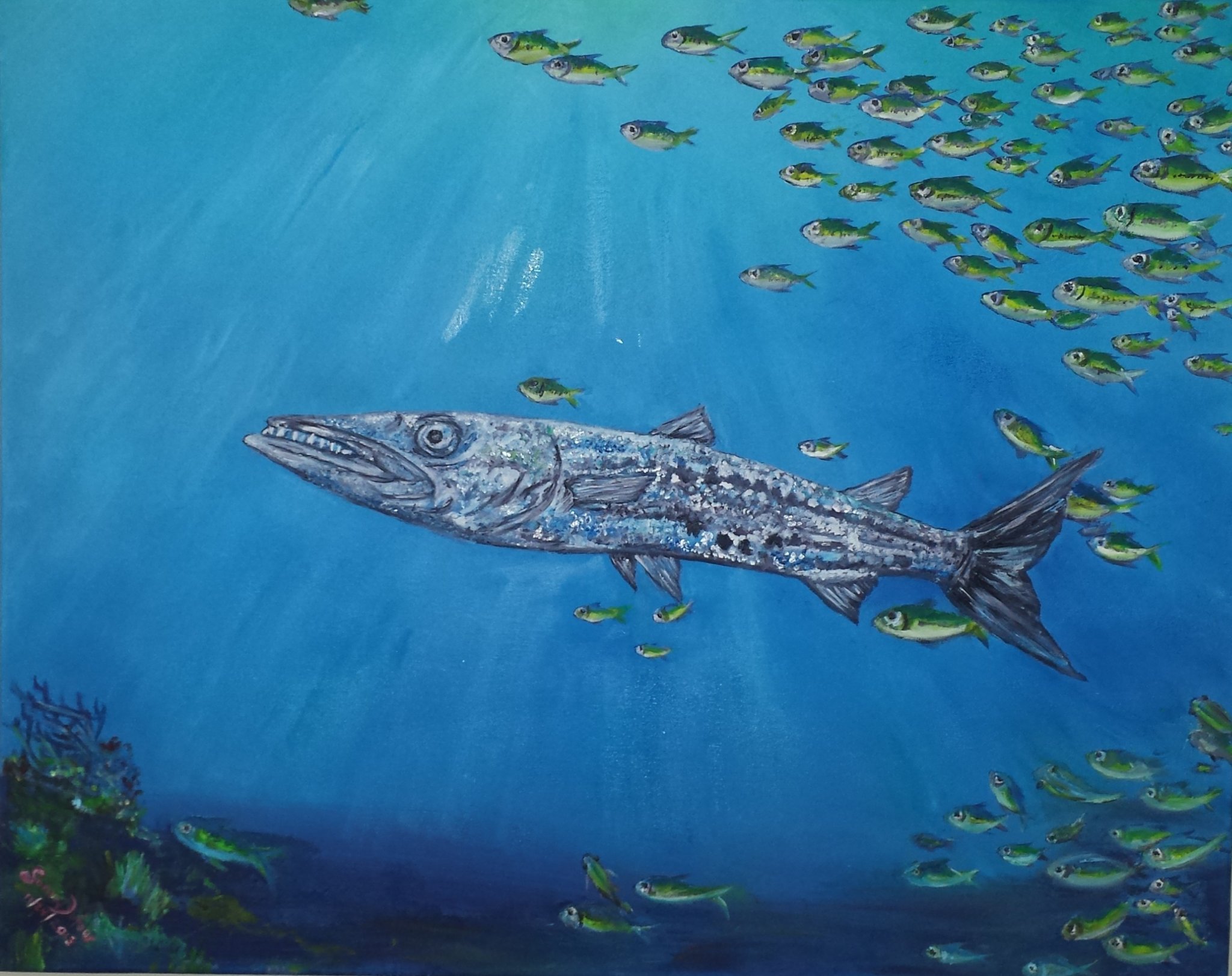 Leader of the Pack — barracuda swimming through a school of fish in deep blue water